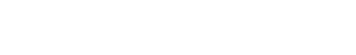 Andes Institute
